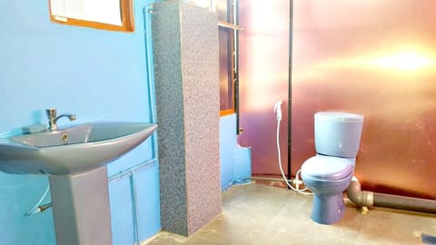 Deluxe Double Room | Bathroom | Shower, free toiletries