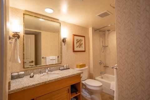 Combined shower/tub, free toiletries, hair dryer, towels