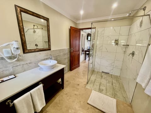 Deluxe Room | Bathroom shower