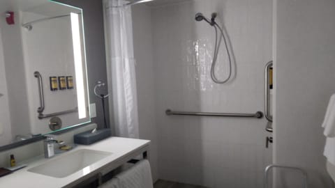 Standard Room, 1 King Bed, Accessible, Refrigerator & Microwave (Walk-in Shower) | Bathroom | Free toiletries, hair dryer, towels