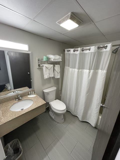 Deluxe Suite, 1 Queen Bed, Non Smoking (Business) | Bathroom | Combined shower/tub, free toiletries, hair dryer, towels