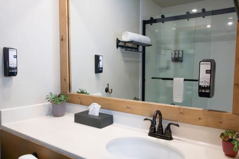 Deluxe Room, 1 King Bed | Bathroom | Free toiletries, hair dryer, towels, soap