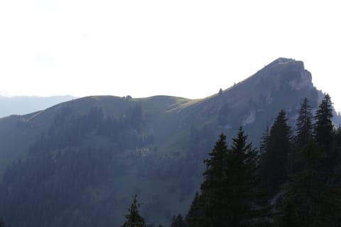 Body treatments, deep-tissue massages, Swedish massages