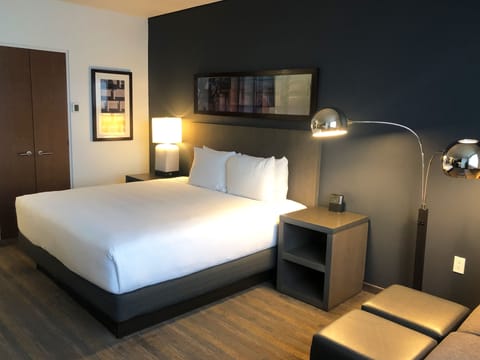 Room, 1 King Bed, Accessible (With Shower) | Premium bedding, down comforters, in-room safe, desk