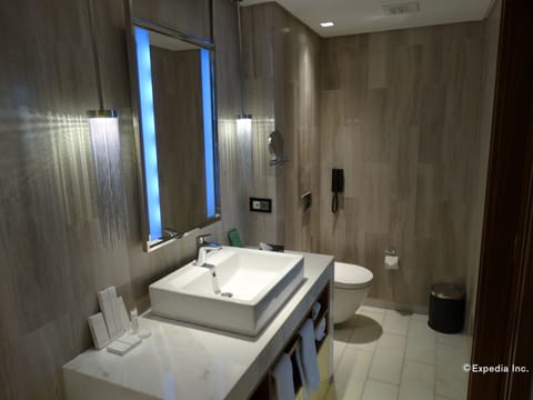 Executive Suite | Bathroom | Shower, rainfall showerhead, free toiletries, hair dryer