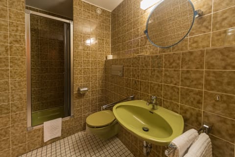 Standard Double Room | Bathroom | Shower, free toiletries, hair dryer, towels