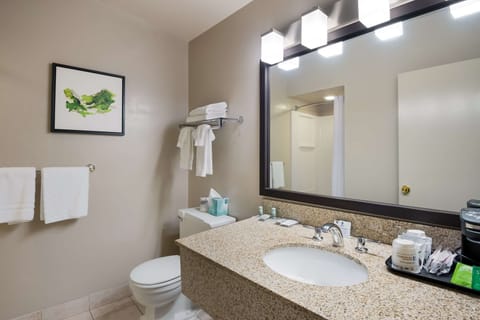 Standard Room, 1 Queen Bed, Non Smoking, Refrigerator | Bathroom | Shower, free toiletries, hair dryer, towels