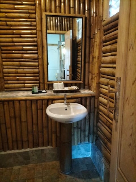 Shower, free toiletries, towels