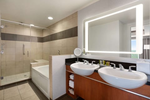 Suite | Bathroom | Combined shower/tub, designer toiletries, hair dryer, towels