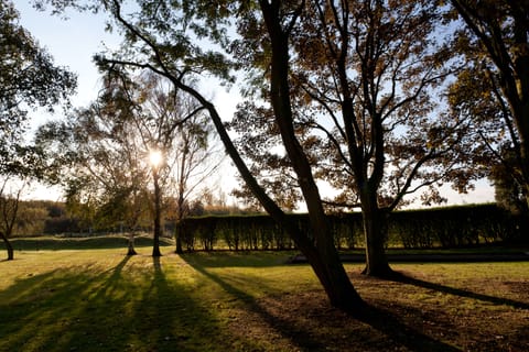 Standard Room, 1 Queen Bed with Sofa bed | Garden view