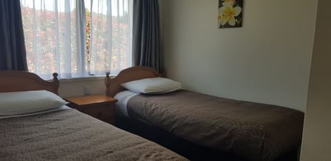 Two Bedroom Apartment  | Desk, iron/ironing board, free WiFi, bed sheets