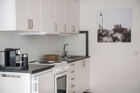 Basic Studio | Private kitchen | Fridge, microwave, oven, stovetop