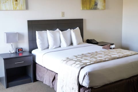 Standard Room, 1 Queen Bed (No Elevator- Upper Floors) | Premium bedding, desk, blackout drapes, free WiFi