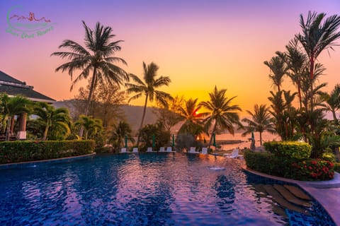 Outdoor pool, sun loungers