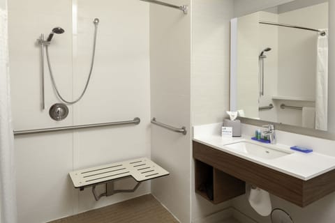 Standard Room, 1 King Bed, Accessible (Mobility, Transfer Shower) | Bathroom shower