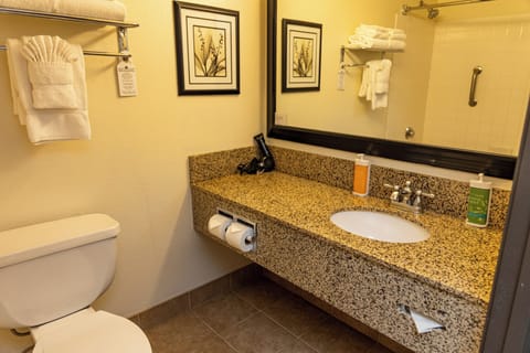 Traditional Room, 1 King Bed | Bathroom | Combined shower/tub, free toiletries, hair dryer, towels