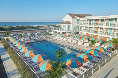 Seasonal outdoor pool, sun loungers