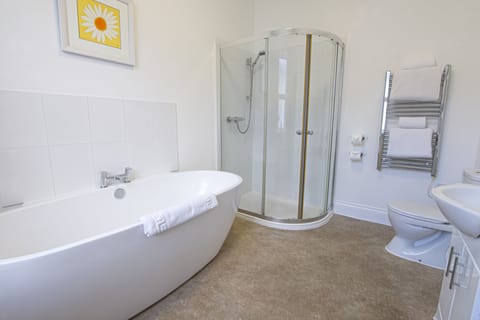 Combined shower/tub, free toiletries, hair dryer, towels