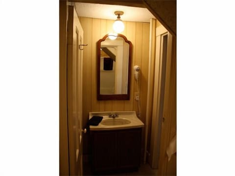 1 Queen Bed Room | Bathroom | Shower, free toiletries, hair dryer