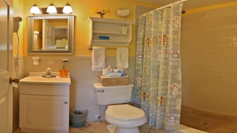 Apartment (One-bedroom apartment) | Bathroom | Shower, towels