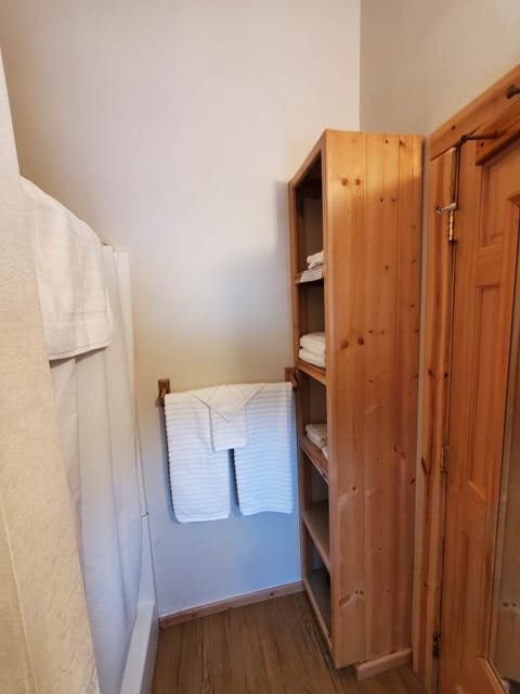 Cabin, 2 Queen Beds, Kitchen, Mountain View | Bathroom | Shower, free toiletries, hair dryer, towels