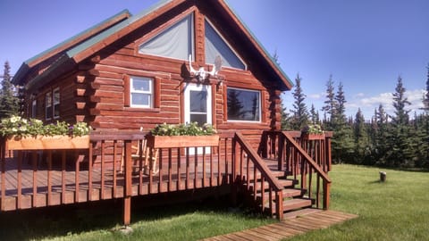 Cabin, 2 Queen Beds, Kitchen, Mountain View | Terrace/patio