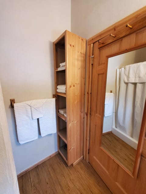 Cabin, 2 Queen Beds, Kitchen, Mountain View | Bathroom | Shower, free toiletries, hair dryer, towels