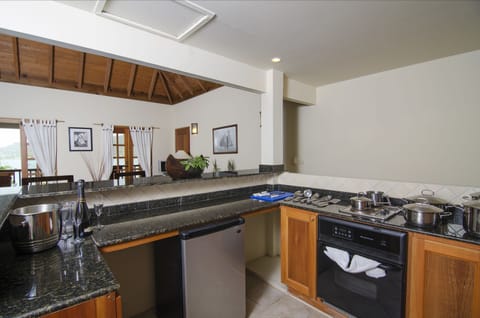 Executive Suite, 1 Bedroom, Kitchen, Marina View | Private kitchen | Fridge