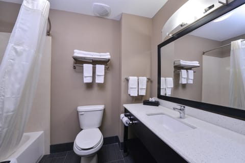 Combined shower/tub, free toiletries, hair dryer, towels