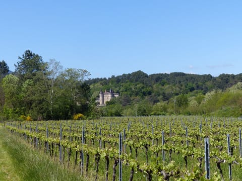 Land view from property