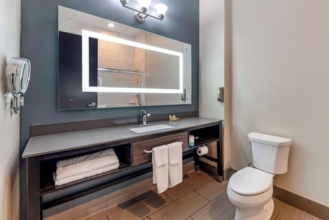 Standard Room, 1 King Bed, Non Smoking (Pet Friendly) | Bathroom | Free toiletries, hair dryer, towels, soap