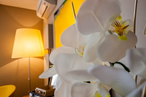 Suite, Lake View (Garden) | Premium bedding, minibar, in-room safe, desk