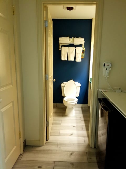 Room | Bathroom | Combined shower/tub, free toiletries, hair dryer, towels