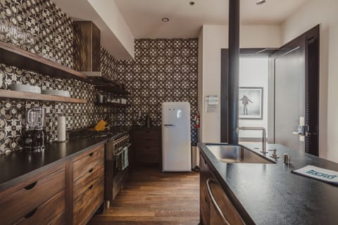 Luxury Loft, 2 Bedrooms, City View (Vagabond) | Private kitchen | Fridge, oven, stovetop, dishwasher