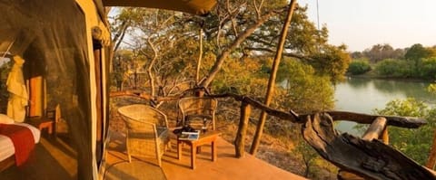 Double Room (Safari Tent) | Safari