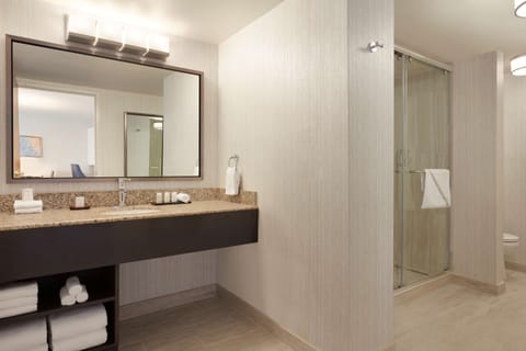 Grand Suite, 1 King Bed | Bathroom | Free toiletries, hair dryer, towels, soap