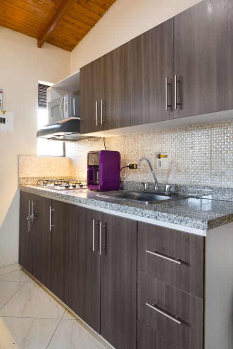 Apartment, 1 Bedroom, City View (301) | Private kitchen | Fridge, microwave, stovetop, coffee/tea maker