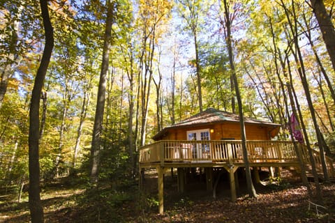 Love Shack Yurt, 1 Bedroom, Hot Tub | Exterior