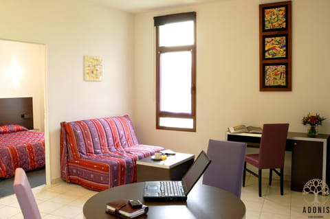 Standard Apartment | In-room safe, desk, soundproofing, iron/ironing board