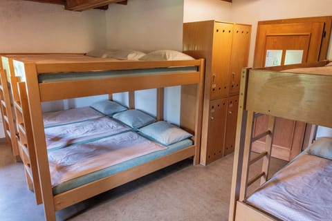 Shared Dormitory, Shared Bathroom (1 bed in 13 bed dorm)