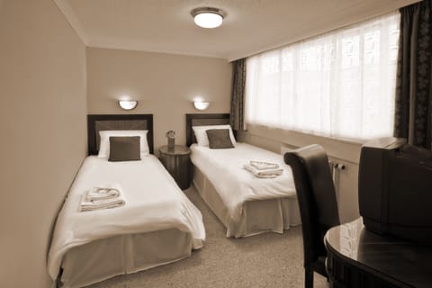 Standard Twin Room | Desk, free WiFi