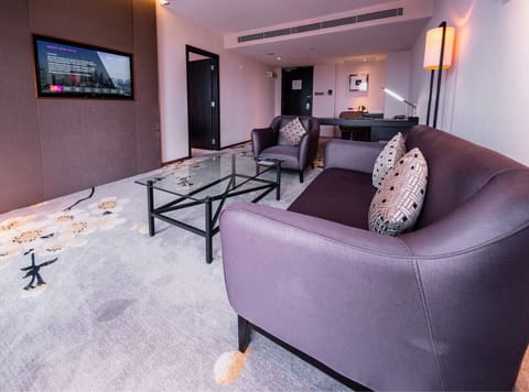 CEO Suite | Living area | LED TV