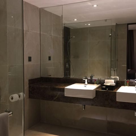 CEO Suite | Bathroom | Free toiletries, hair dryer, bidet, towels