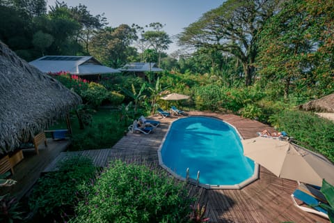 Outdoor pool, pool umbrellas, sun loungers