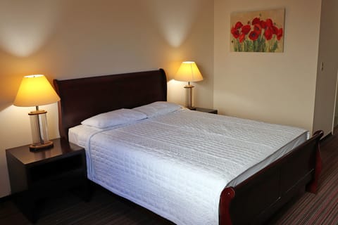Basic Single Room, 1 Queen Bed (Single Use Only) | Free WiFi