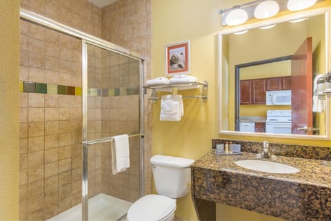 Combined shower/tub, free toiletries, hair dryer, towels