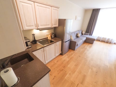 Large Luxury Apartment, 1 Bedroom | Private kitchen | Fridge, microwave, stovetop, electric kettle