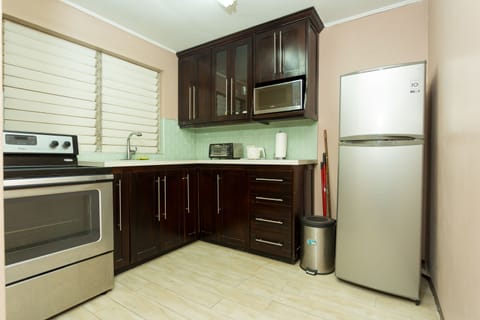 Premium Apartment, 2 Bedrooms, City View, Executive Level | Private kitchen | Full-size fridge, microwave, oven, stovetop