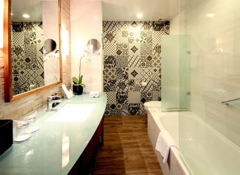 Bathroom | Combined shower/tub, free toiletries, hair dryer, bathrobes