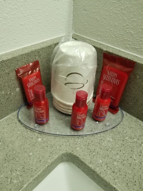 Combined shower/tub, free toiletries, hair dryer, towels